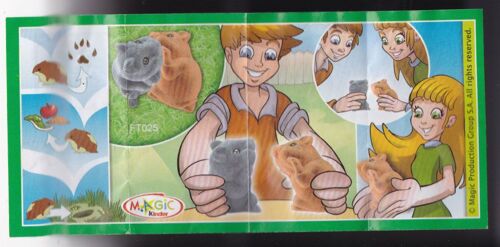 Kinder Surprise, Bpz Seul : "Kinder" (2013) : Duo De Bébés Animaux Câlins : Ft025 Les Hamsters