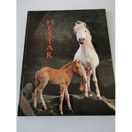 Hestar The Icelandic Horse