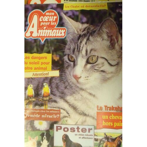 Mon Coeur Pour Les Animaux 8 Les Dangers Du Soleil Pour Votre Animal