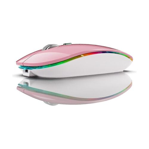Souris sans fil BT5.1 + 2.4Ghz avec Mouse Jiggler, souris rechargeable 2.4G, Mouse Mover pour USB
