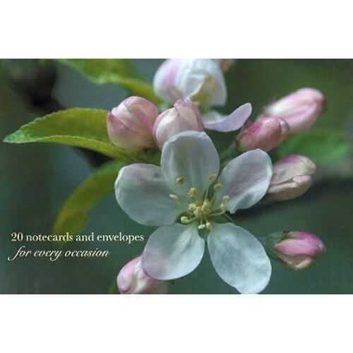 Card Box Of 20 Notecards And Envelopes: Apple Blossom