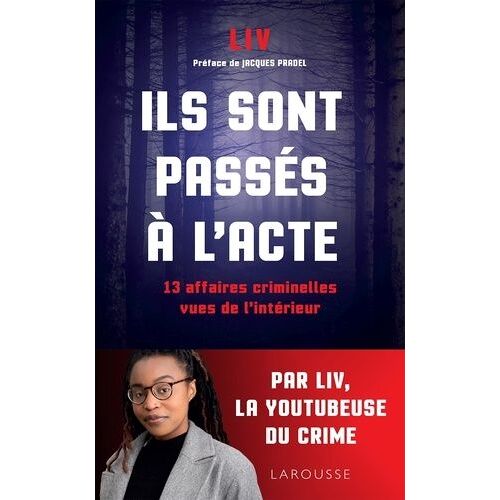 Ils Sont Passés À L'acte - 13 Affaires Ciminelles Vues De L'intérieur