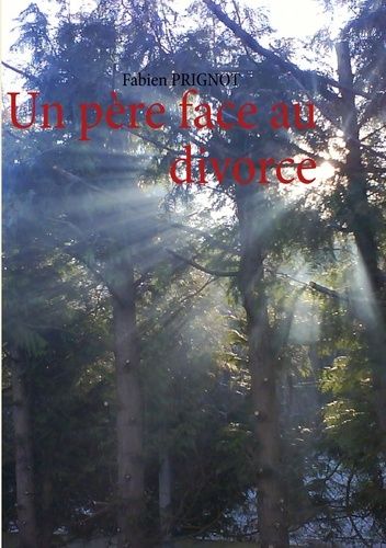 Un Père Face Au Divorce