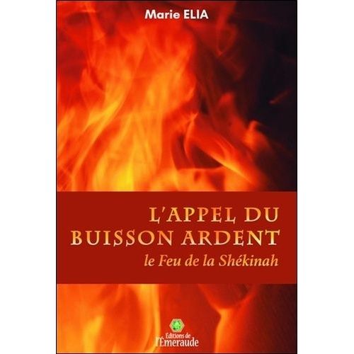 L'appel Du Buisson Ardent - Le Feu De La Shékinah