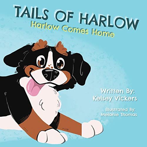 Tails Of Harlow: Harlow Comes Home