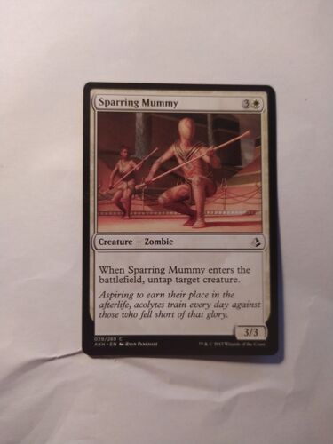 Sparring Mummy // Momie D'entraînement (Amonkhet)