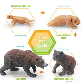 Modèle D'animal Mimique En Gros Jouets Éducatifs Montessori Pour La Croissance Des Animaux Comme Poulet Canard Paon Papillon Tortue De Mer Grenouille Ensemble De Couple De Berwen Marron 336g