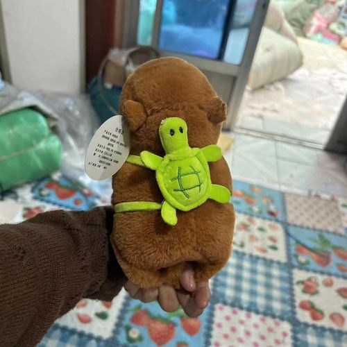 Jouet En Peluche De Cochon Mignon De Carpi Barara Avec Anneau De Sport Et Oreiller De Poupée : Couleur Speciale Avec Anneau De Tortue