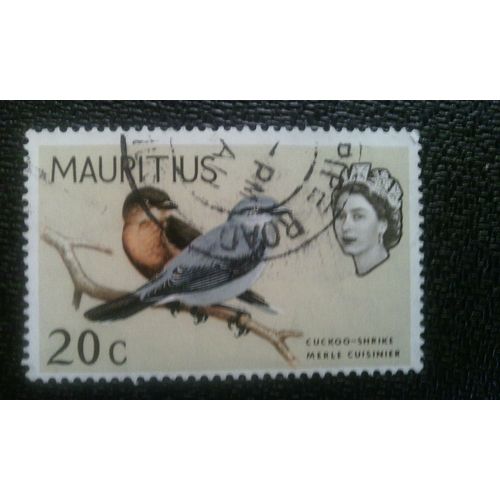 Timbre Mauritius ( Yt 272 ) 1965 Coucouchrome De Maurice (Coracina Typica)