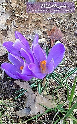 Wildflower: Daily Reflections Journal (Reflecting On Today Journal Series, Book 3)