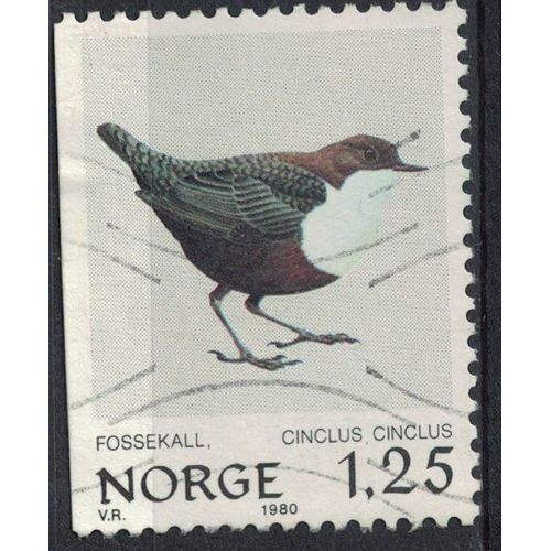 Norvège 1980 Oblitéré Used Bird Oiseau Cinclus Cinclus Cincle Plongeur Su