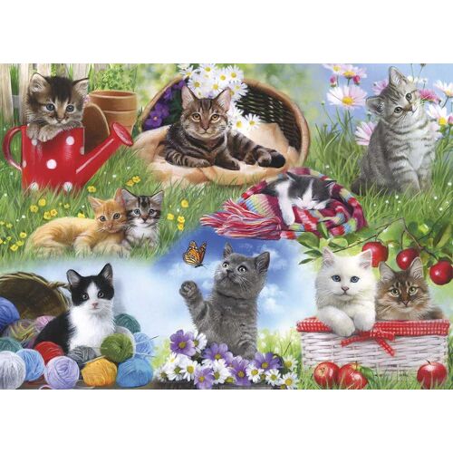 Puzzle Pièces Xxl - Chats - Puzzle 24 Pièces