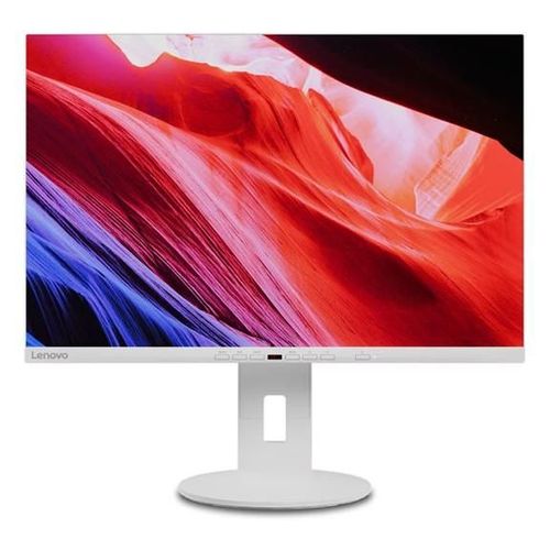 Lenovo C24d-20 - Écran LED - 24" - 1920 x 1200 Full HD (1080p) @ 60 Hz - IPS - 300 cd/m² - 1000:1 - 5 ms - HDMI, DVI, DisplayPort, VGA - haut-parleurs - blanc grisé