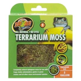 Zoomed - Mousse Terrarium Moss Pour Terrarium - S