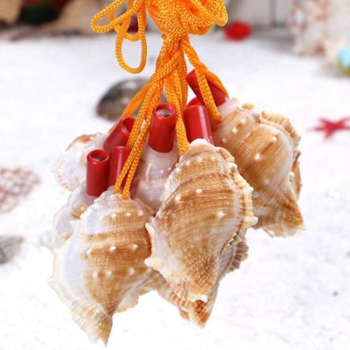 Pendentif Sifflet Conque Naturel, Coquille D'escargot Soufflant, Jouet, Outil De Survie Pour Enfants, Artisanat D'instruments Souvenir