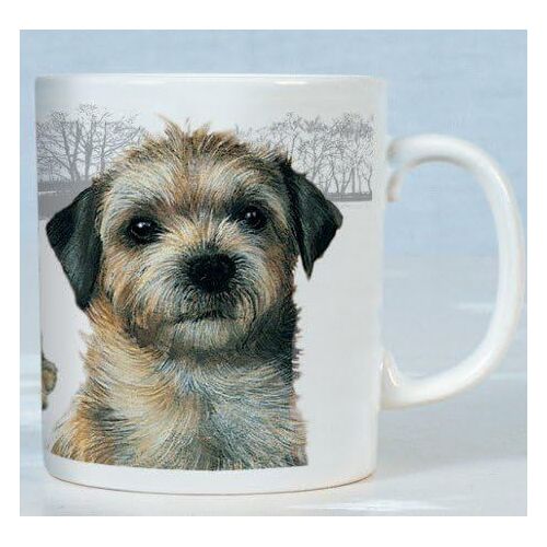 Tasse Border Terrier