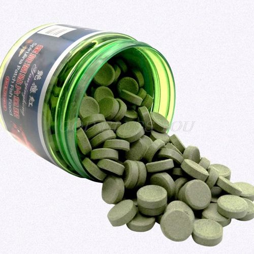 Nourriture Pour Poissons Sous Formenourriture Pour Poissons Sous Forme
