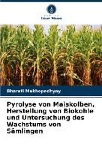 Pyrolyse Von Maiskolben, Herstellung Von Biokohle Und Untersuchung Des Wachstums Von Sämlingen