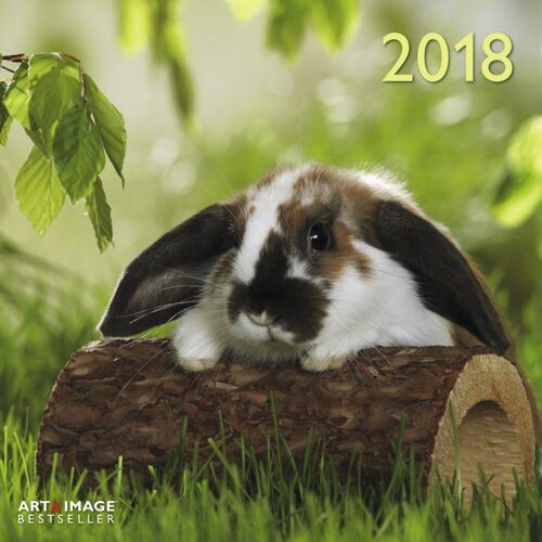 Lapins - Calendrier 2018 -30x30