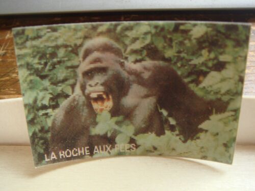 La Roche Aux Fees Magic Les Animaux Sauvages Et Leurs Petits 11 Le Gorille