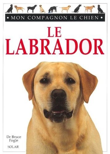 Le Labrador
