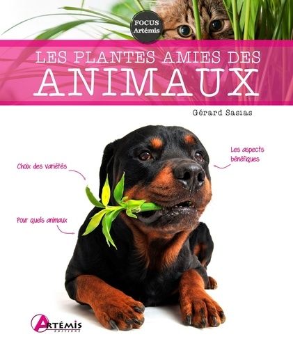 Les Plantes Amies Des Animaux