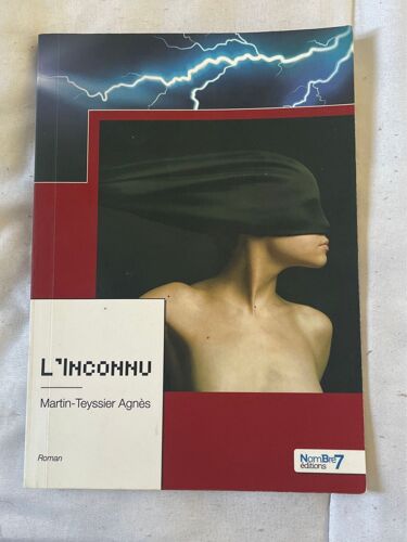 L’Inconnu. Martin-Teyssier Agnès 