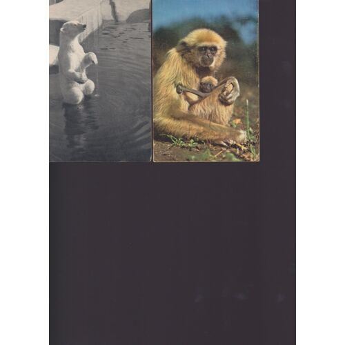 Lot De 2 Cartes Postales De Paris / Animaux : Ours, Singe (Comité National De L'enfance)