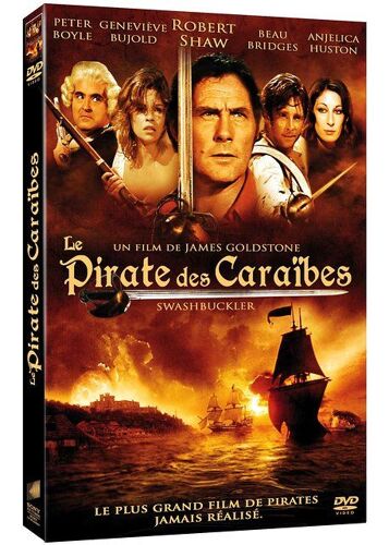 Le Pirate Des Caraïbes