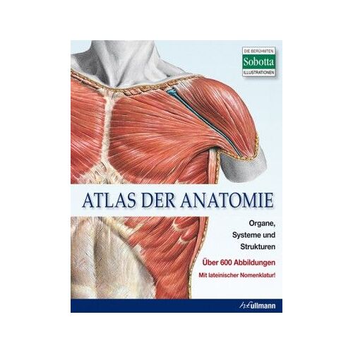 Atlas Der Anatomie