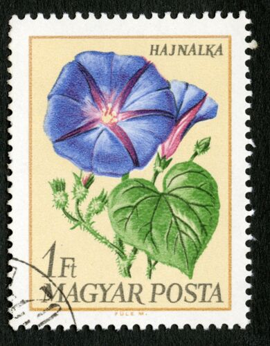 Timbre Oblitéré Magyar Posta, Hajnalka, 1 Ft
