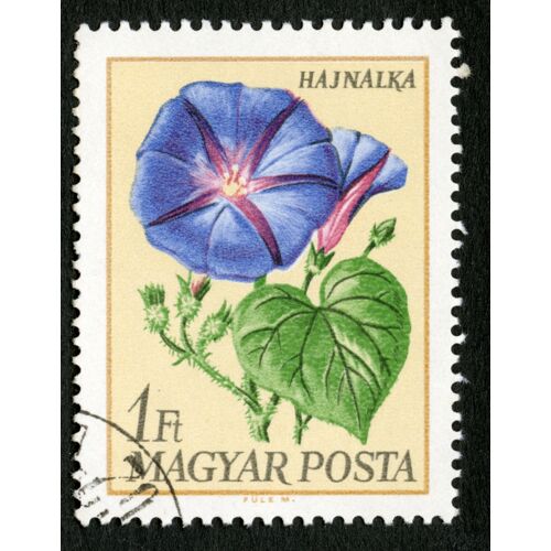 Timbre Oblitéré Magyar Posta, Hajnalka, 1 Ft