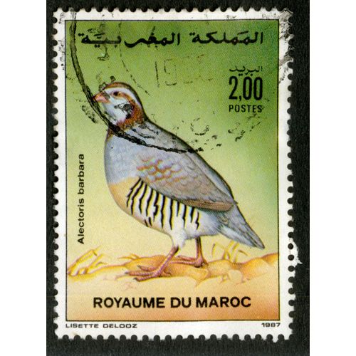 Timbre Oblitéré Royaume Du Maroc, Alectoris Barbara, 2.00 Postes, 1987