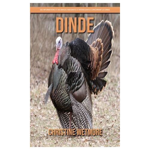 Dinde - Des Informations Et Des Images Amusantes Et Intéressantes Concernant Les Dinde