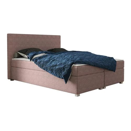 Lit Continental Memphis 137, Double, Rose, Tapisserie, 145x207x107cm