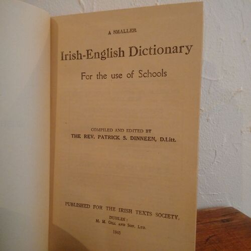 Irish English Dictionary   de PATRICK S DINNEEN   Format Relié (Livre)