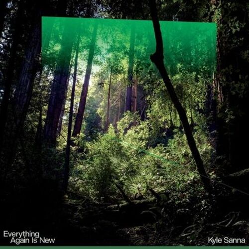 Everything Again Is New - Vinyle 33 Tours