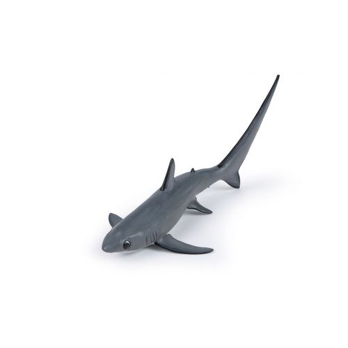 L'univers Marin Requin Renard