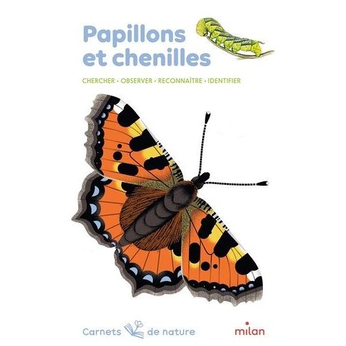 Papillons Et Chenilles - Chercher - Observer - Reconnaître - Identifier