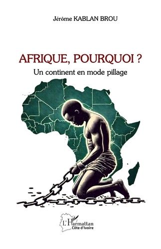 Afrique, Pourquoi ? - Un Continent En Mode Pillage