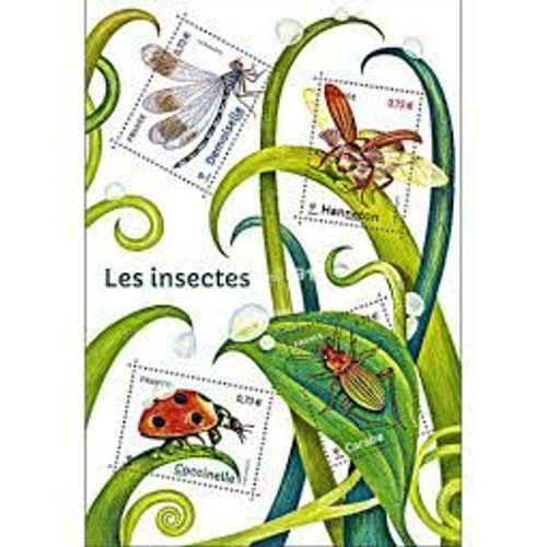 Série Nature De France (31) Faune : Insectes De Nos Jardins Feuillet 5148 Année 2017 N° 5147 5148 5149 5150 Yvert Et Tellier Luxe