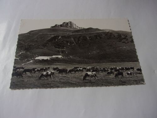 Thollon ( Hte Savoie)