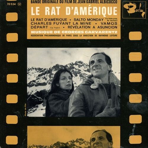 Le Rat D'amérique