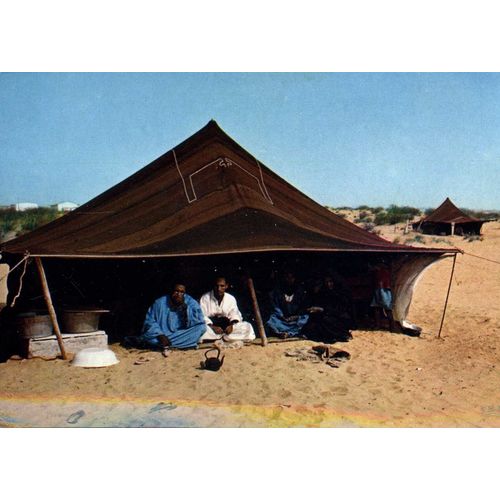 Carte Postale Des Tentes De Nomades (Mauritanie)