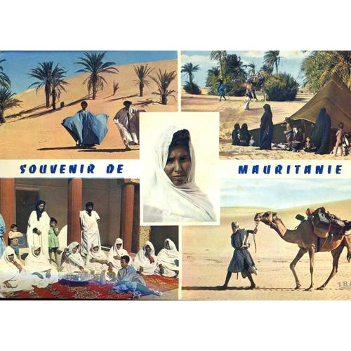 Carte Postale : "Souvenir De Mauritanie" : 5 Vues