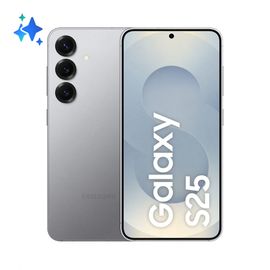 Samsung Galaxy S25 256 Go Gris