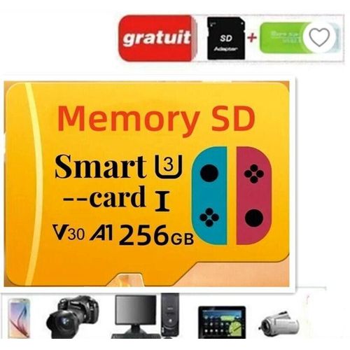 Carte mémoire 256 GO Gaming microSD UHS-I U3 V30 A1
