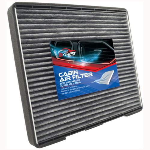 Bi-Trust ? Filtre À Air De Cabine De Remplacement, Pour Hyundai Elantra 2001 ? 2006 L4 2.0l, Dans L'entourage 2007-2010 V6 3.8l Kia Sedona 2006 ? 2010 V6
