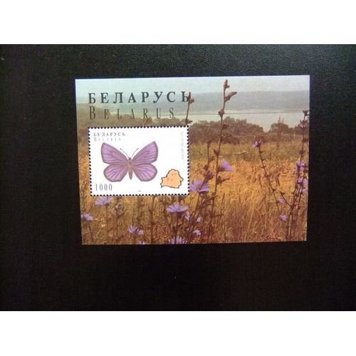 10 Bielorussia Belarus 1996 / Faune Papillons Mariposas / Yvert Bloc 10 +11 Mnh