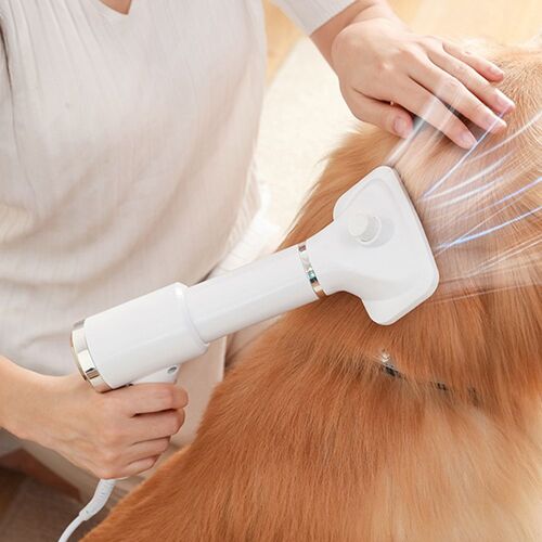 Sèche-Cheveux Réglable 2 En 1 Pour Chien Et Chat, Peigne De Toilettage, Souffleur À Basse Température, Protection Confortable